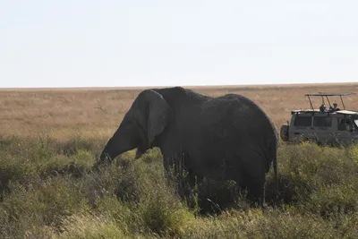 DSC_3831 (Large).JPG